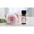 ESSENZA AROMATICA ROSA 10 ML